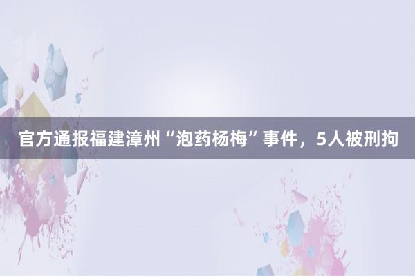 官方通报福建漳州“泡药杨梅”事件，5人被刑拘