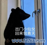 太宠了！深圳地铁连这个都有......